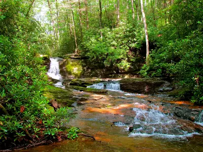 Raven Cliffs Trail
