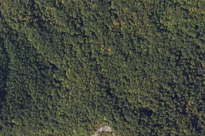 Camp site