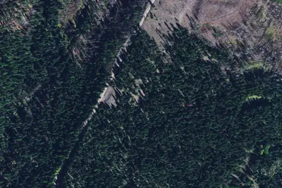 Morrell Creek 01