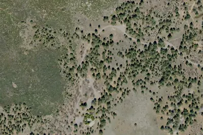 El Prado Group Campground