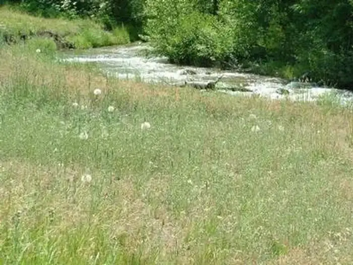 Cold Creek