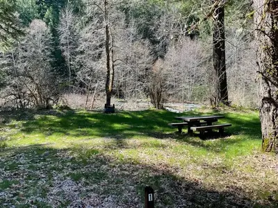 A grassy campsite on the bank of a river. The site has a wooden picnic table and a metal fire ring.