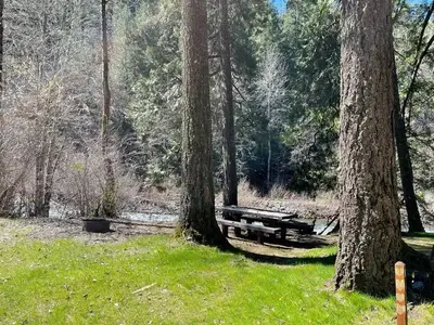 A grassy campsite with a wooden table and metal fire ring. A river flows by the far side of the site.