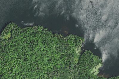 High Canoe 4