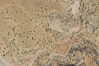 Camp site