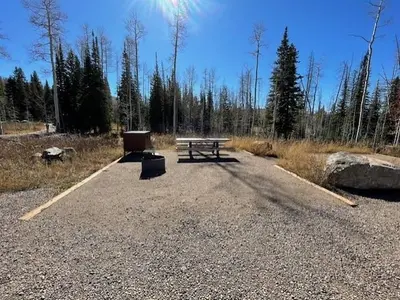 Dry lake campground site 8 table fire pit and trees