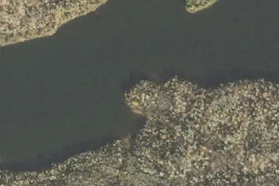 Pickerel Lake Site 1