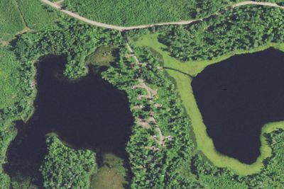 Birch Grove Campground