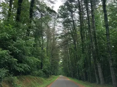 entrance roadway