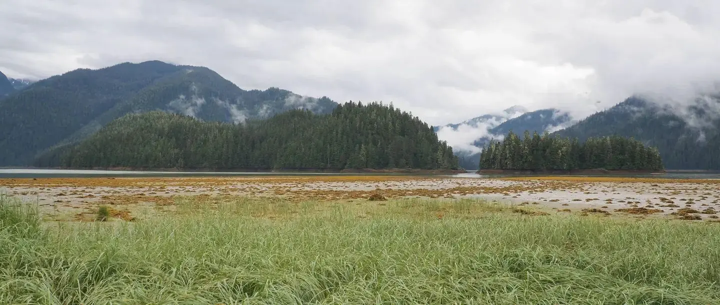 Beach with foggy mountains in the background