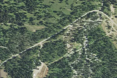 Camp site
