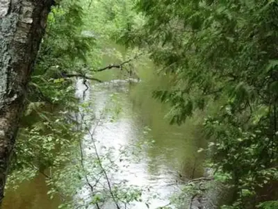 Carp river campground1