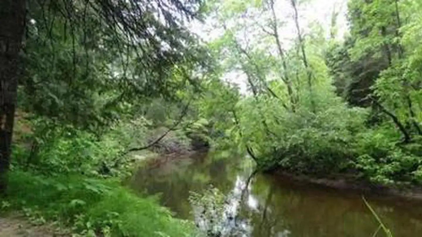 Carp River Campground