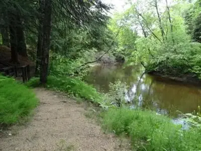 Carp river campground3