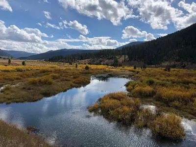 Fall Colors (52395510718)