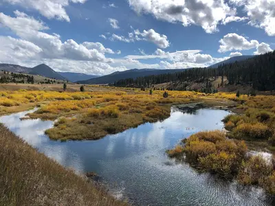 Fall Colors (52395442215)