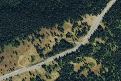 Camp site