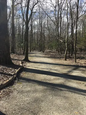 Old River Trail Mississippi 1