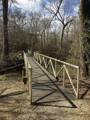 Old River Trail Mississippi 2