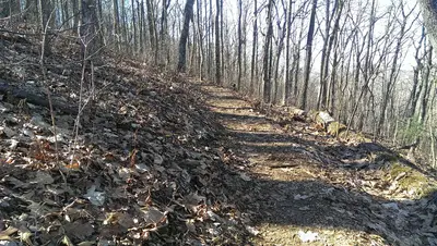 The path towards the Woods Hole shelter - panoramio