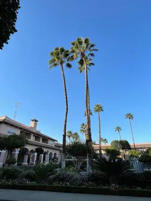Harris Ranch Inn - October 2022 - Sarah Stierch 01