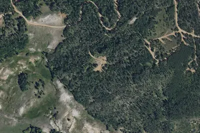 Porter Equestrian Group Campsite