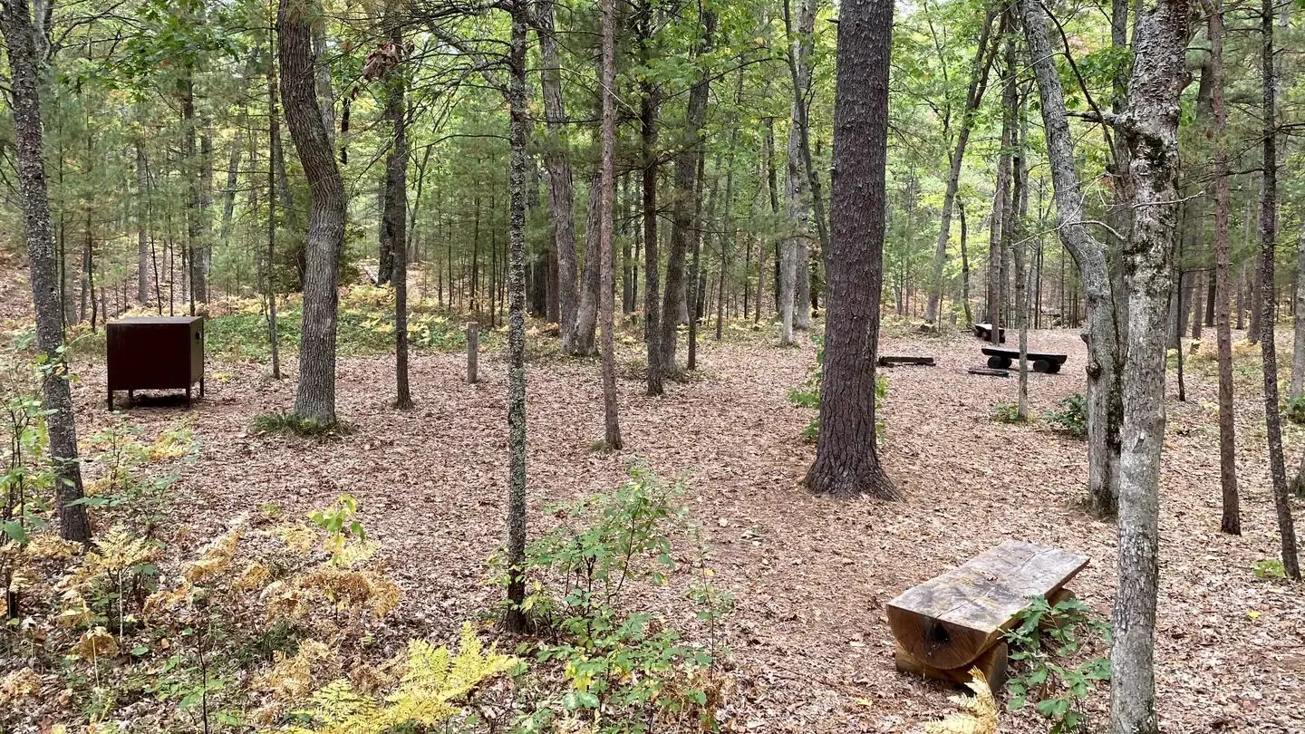 Wooded campsite with benches, food storage locker, and fall leaves in the ground.