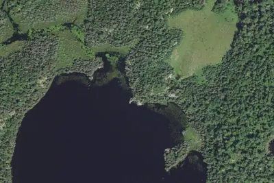 Nels Lake Site 2