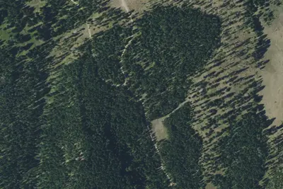 North Fork Rd 423l1
