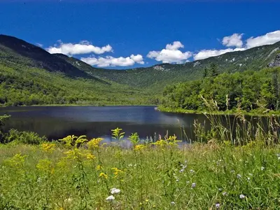 Photo of Basin Campground