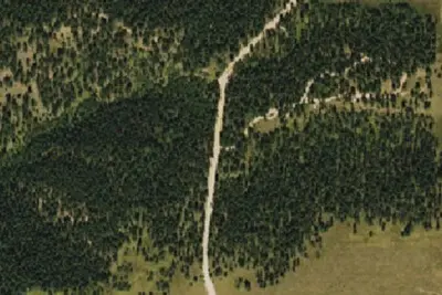 Springdale