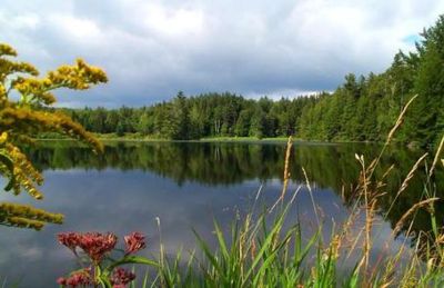 Hapgood Pond Recreation Area