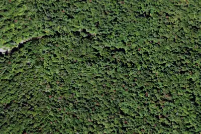 Camp site