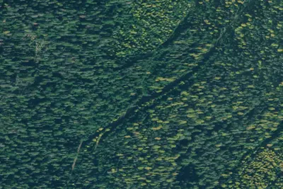Rd 4784 Site 1