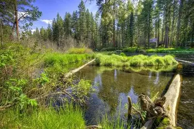 Pine Rest Campground
