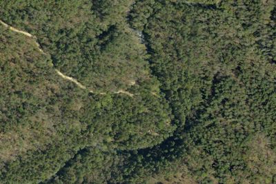 Camp site