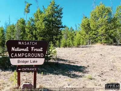 Bridger Lake Campground