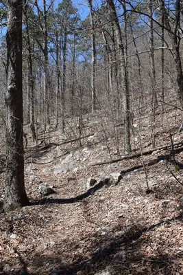 Little Missouri Trail Arkansas