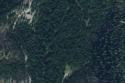 South Fk Lolo Creek Horse T