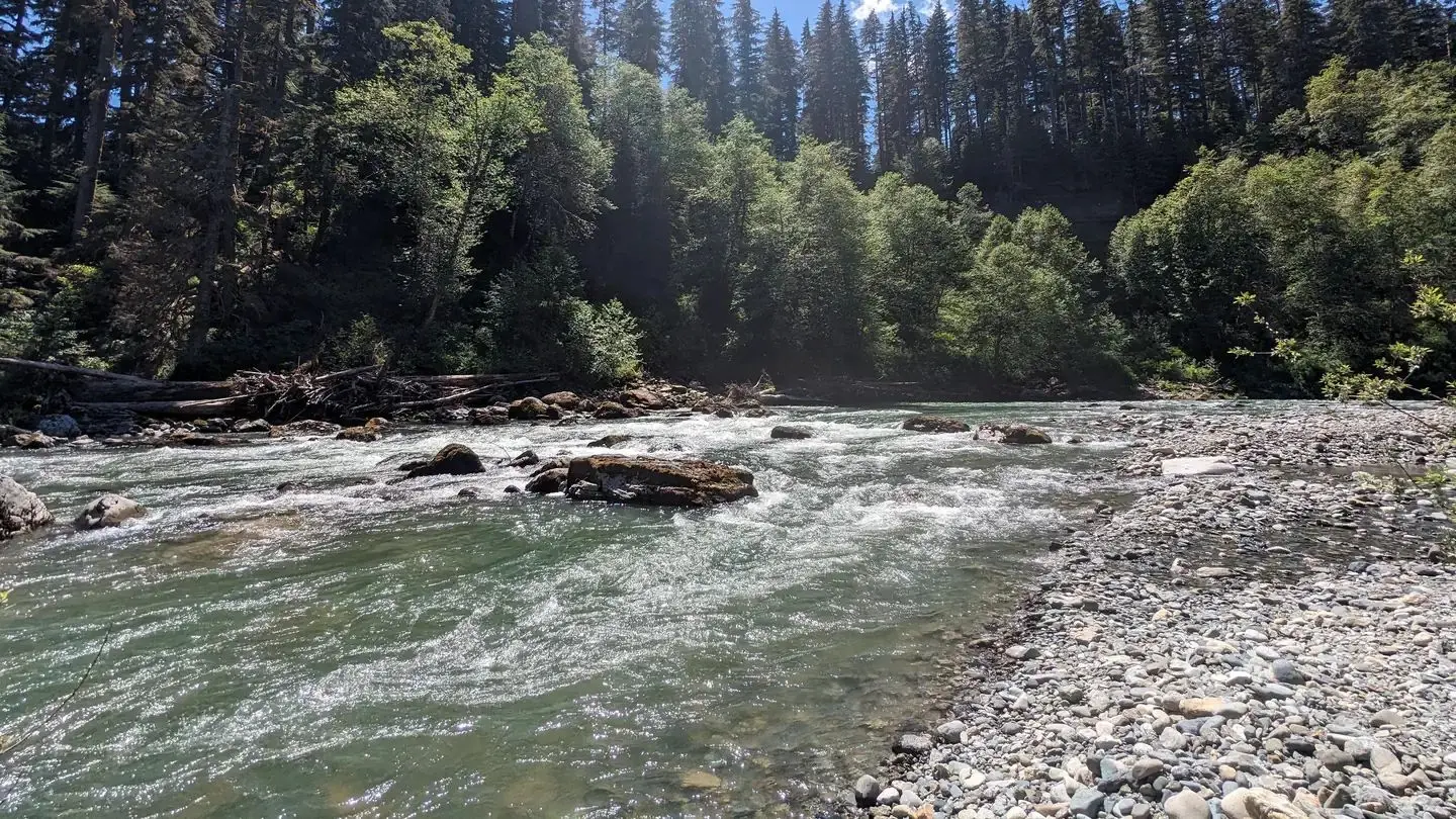 Wiley creek
