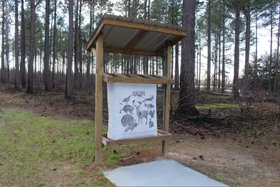 Closeup of 10ft target, Paradise PFA