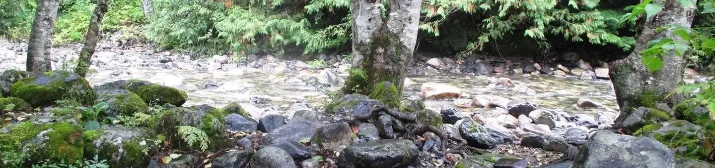 Denny Creek Campground