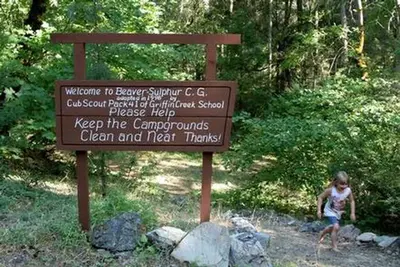 Beaver sulphur