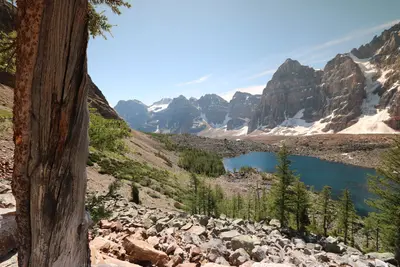 Eiffel Lake Hike Alberta Canada (18871774713)