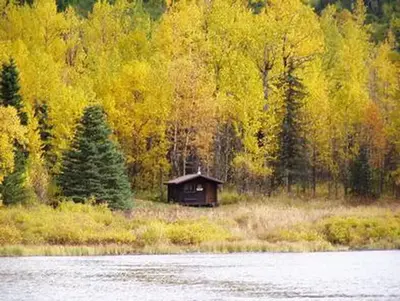 Swan lake cabin seward2