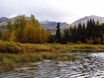 Swan lake cabin seward3