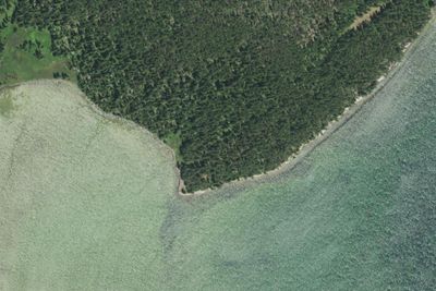 Camp site