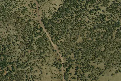 Camp site