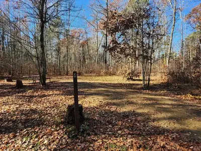 A picture of a campsite in Mabel Lake Campground with a stump and a site marker in the foreground and trees in the background.