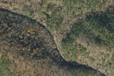 Camp site